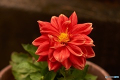 CCB82823-0AF1-4D2C-8B37-EFB7BFC8AE51