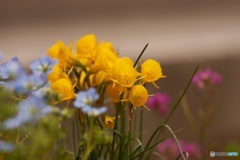 E5D01906-C95F-43EA-9337-E226A4771B7E