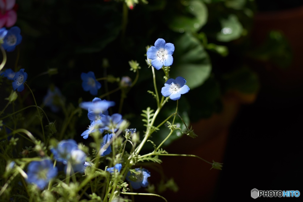 8F0ECEEE-7651-4490-AD3C-BE307BADE669