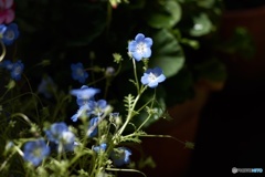 8F0ECEEE-7651-4490-AD3C-BE307BADE669