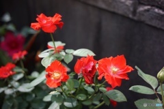 BEAB4432-FEEC-4FD0-9A5B-020AA0F811C3