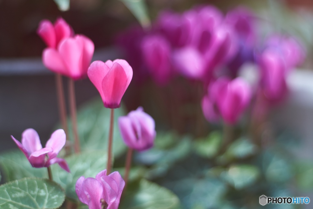 ED93FEE5-1152-41F3-8568-1FD63357941C