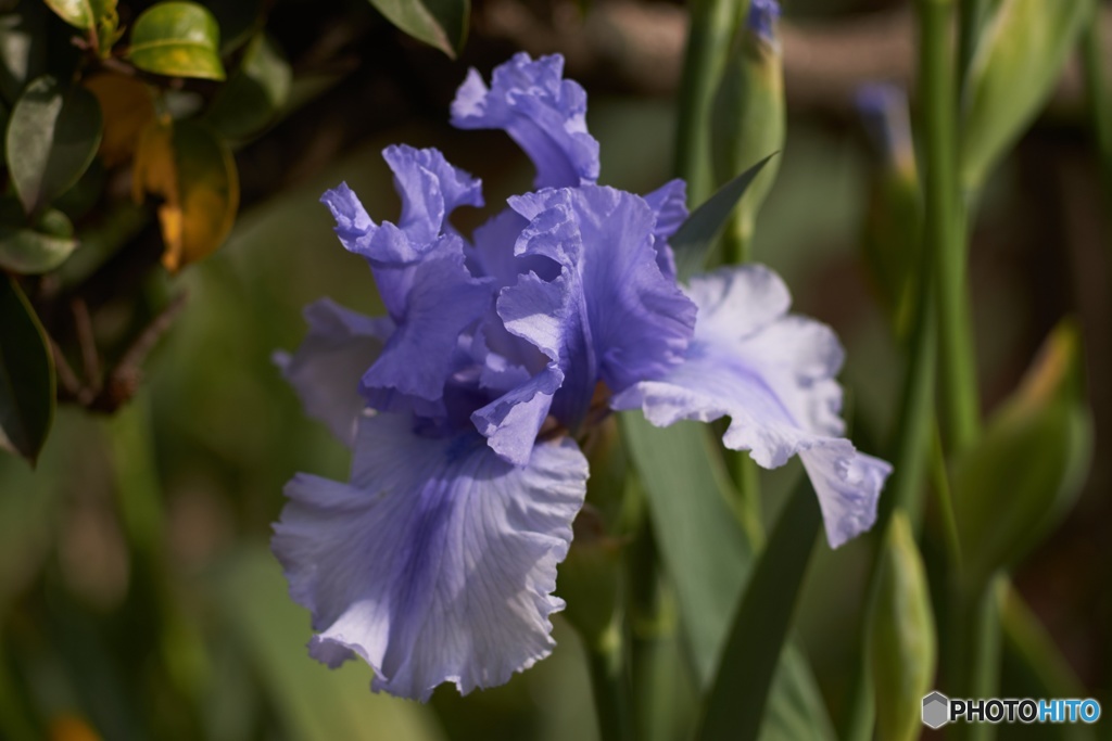 8145263E-BCED-455B-B65B-FFA50E09F65A