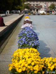 上野公園にて（MMFC0486C1）