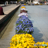 上野公園にて（MMFC0486C1）