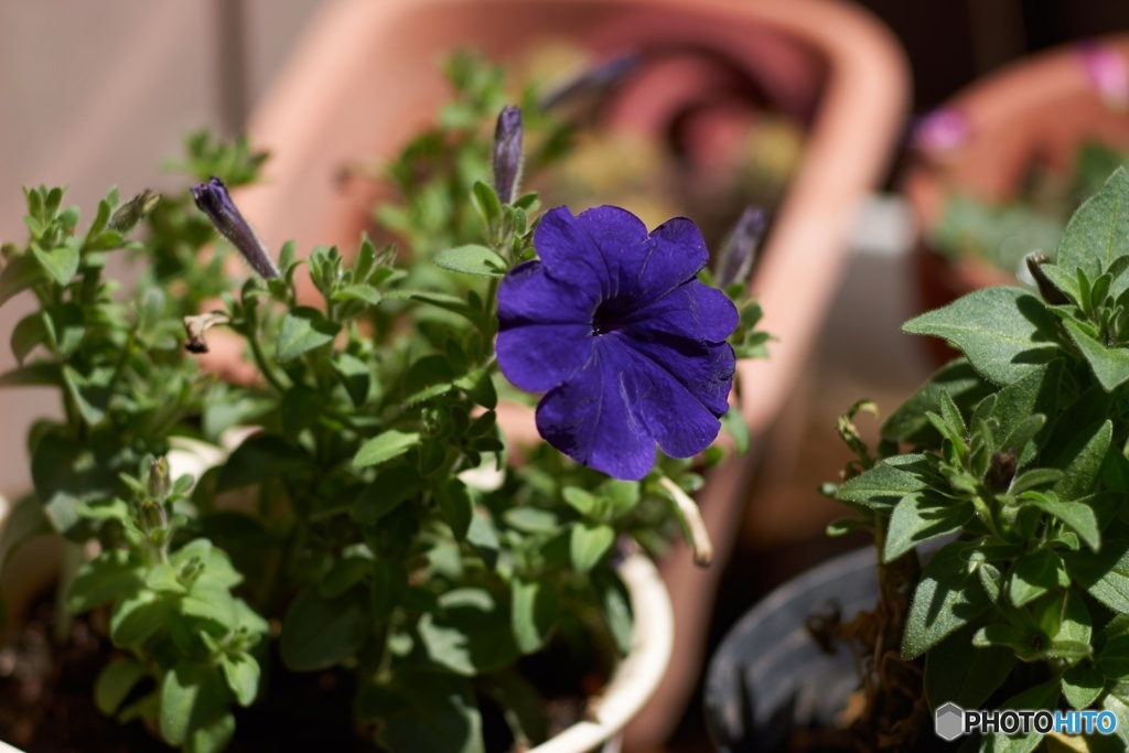 0C5C6EBC-CF9C-42DC-98F1-03FA42E2FE44