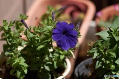 0C5C6EBC-CF9C-42DC-98F1-03FA42E2FE44