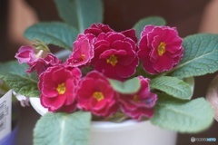 CD4BFD45-9EAE-4E0A-9839-47BACEFBF9D3