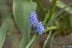 D2C2A90E-4A58-4EE7-B724-0893021BDEB2