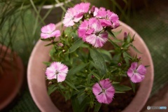 4D0844AF-2354-47B4-A748-A127474C0430