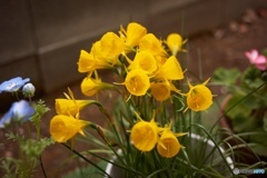 6C840A95-5724-4623-9324-2A84307DC3C6