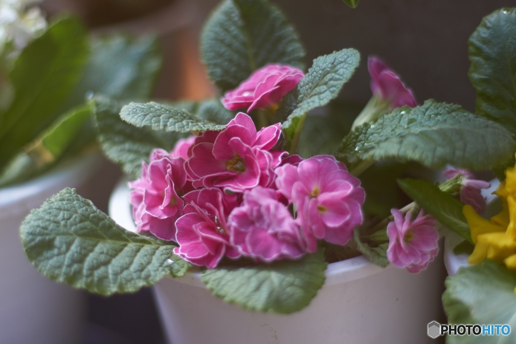 F3BB9A5A-E7CF-426F-975E-020134D0636D