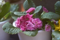 F3BB9A5A-E7CF-426F-975E-020134D0636D