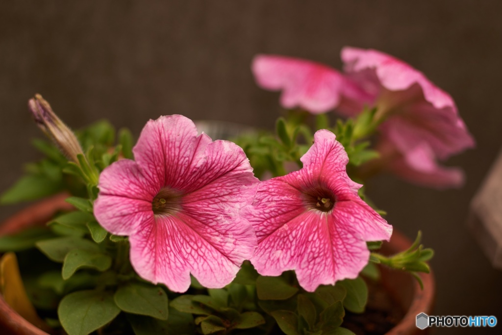 25634DF2-8F63-477B-B11E-E1DBEECAF452