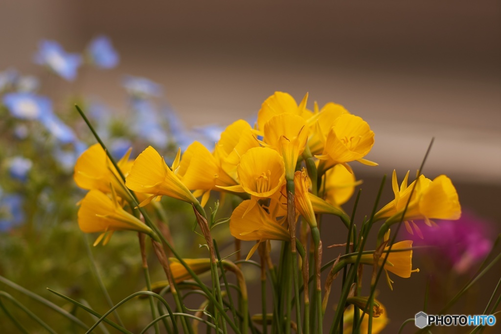 66FE4BDE-B576-49C1-8CFD-D43614375C39