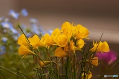 66FE4BDE-B576-49C1-8CFD-D43614375C39