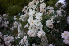 7354B9D3-FD05-4DE6-A96A-ED7C507CCABC