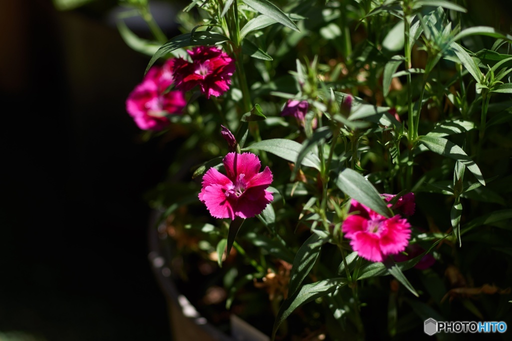 11F3BAF5-BF40-4557-AE64-1C2B020D8DC6