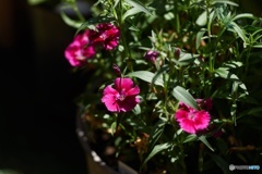 11F3BAF5-BF40-4557-AE64-1C2B020D8DC6