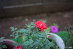 30999A87-F408-4A5B-B2A9-FBF61FCA1D7A