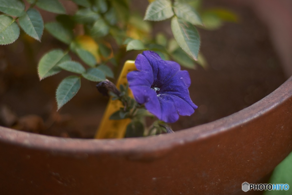 E310DA44-1702-46FF-B239-C10B100B4BB6