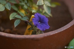 E310DA44-1702-46FF-B239-C10B100B4BB6