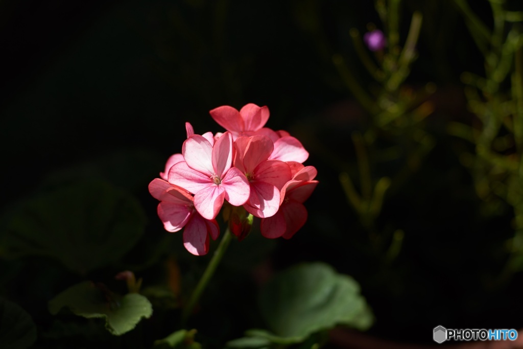 51D70C55-138E-4B44-8FE3-5242EBB7F7F5