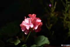 51D70C55-138E-4B44-8FE3-5242EBB7F7F5