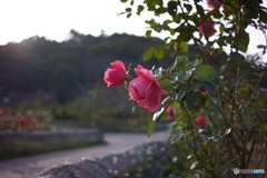 FBEFD211-FCEF-4F1B-B71B-76855A7E16F6