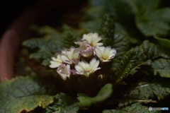 42F893AA-E5CF-49D9-A7C5-E031A5F0DC84