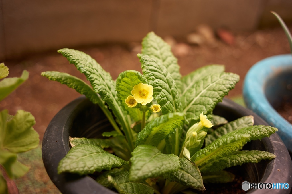 B25FB5F2-7053-49C8-9BEA-7C8A841CE0D3