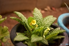 B25FB5F2-7053-49C8-9BEA-7C8A841CE0D3