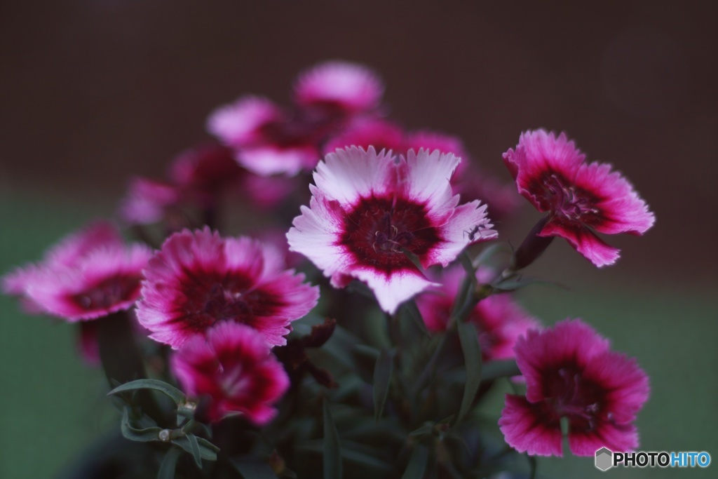 A378CFBA-23EB-48E7-B002-22BF3A7A6D65