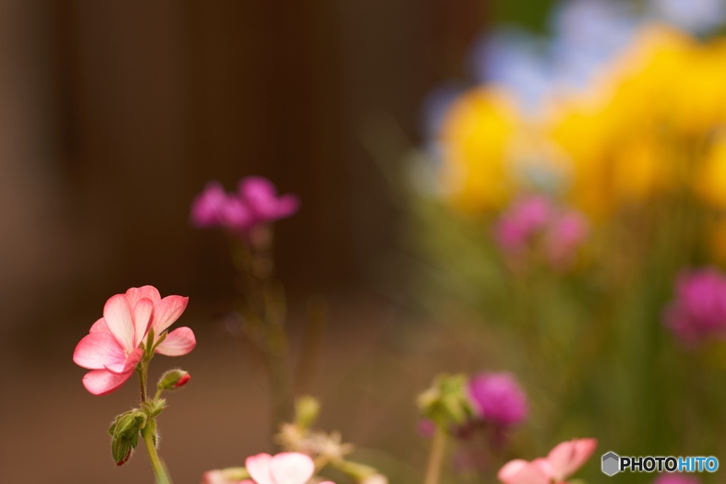 0CA07045-1F62-4F91-914D-981035778849