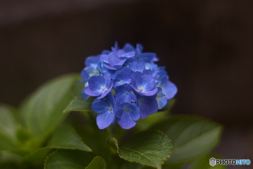 045A4688-D8BE-45FE-9797-E753B2BE9950