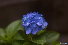 045A4688-D8BE-45FE-9797-E753B2BE9950