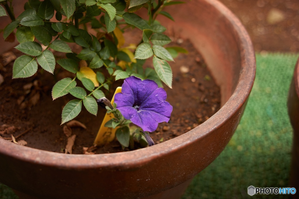 A7E8FD68-2AEF-4B75-9482-AEBBE4BF1C5B