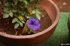 A7E8FD68-2AEF-4B75-9482-AEBBE4BF1C5B