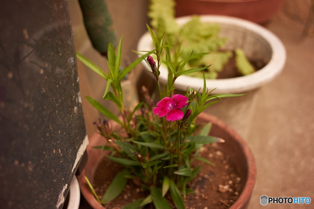 1980FDD9-9375-4A7C-B7D4-D7192F40F6BA