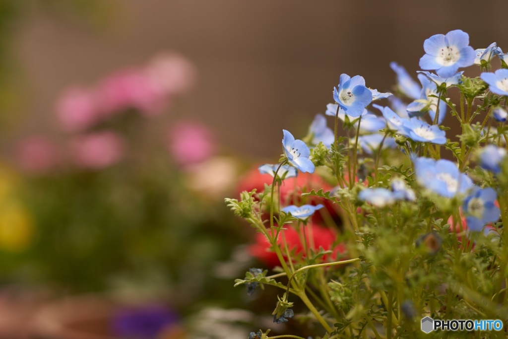 D8863642-301D-4906-B0BA-44CA98C2BE1F