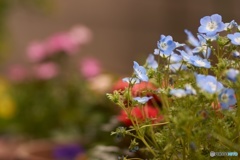 D8863642-301D-4906-B0BA-44CA98C2BE1F