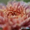 ED22890C-CC64-40DD-8C80-A5FC95B7B574
