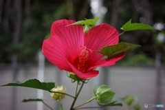 F5A0579C-49CA-45F8-97DA-EAA5ADFA1357