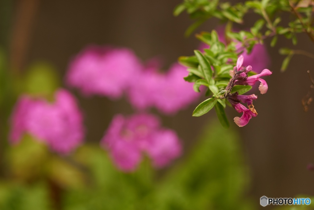 C7CA0949-F3BB-4FE7-908D-0F7968EA9E74