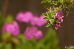 C7CA0949-F3BB-4FE7-908D-0F7968EA9E74