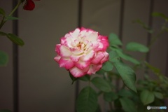 3458FA92-50A1-45B6-883B-A03F737CE9A2