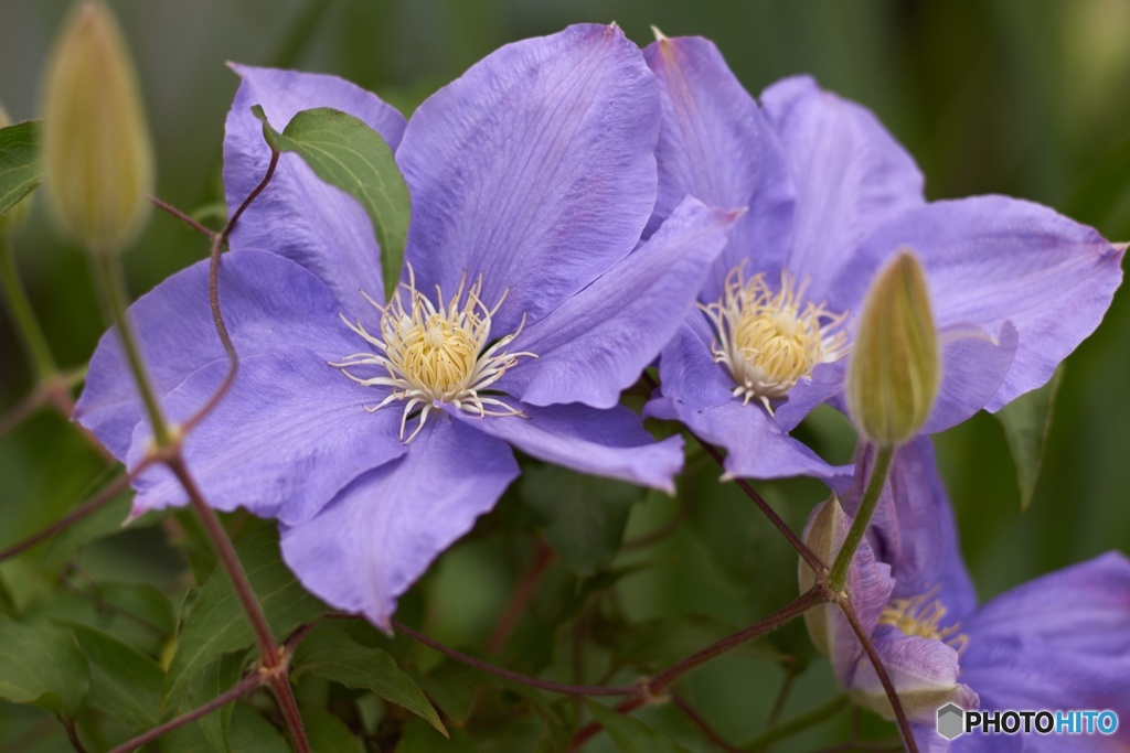 5B9A8BAC-B77B-4DFD-B689-FA84093EF708