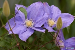 5B9A8BAC-B77B-4DFD-B689-FA84093EF708