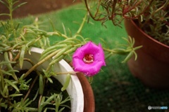 5BAF6198-7F64-4806-AF00-9D58B1AD6FA2