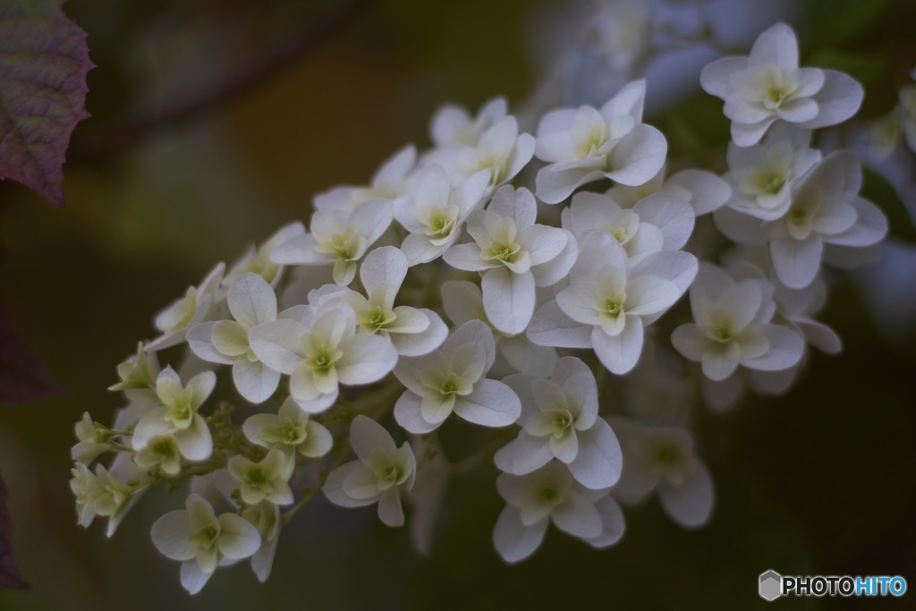 55D3404A-7135-4E05-A218-52F42C7C281D